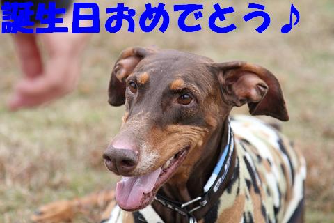 e0100007_13393142.jpg