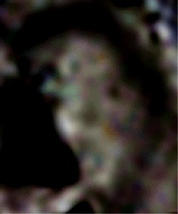 e0103408_15305010.gif