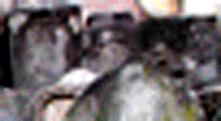 e0103408_15311318.gif