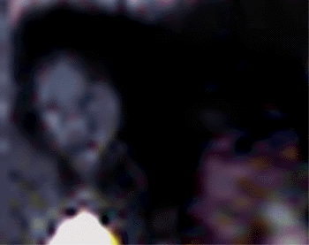 e0103408_155315.gif