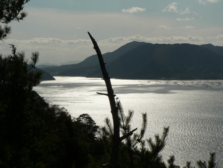 f0219710_8363557.jpg