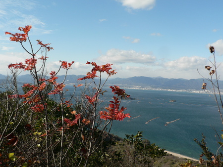 f0219710_8401888.jpg