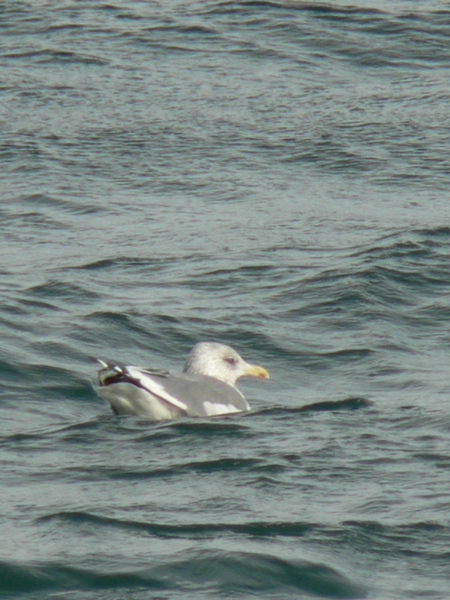 f0219710_8425482.jpg