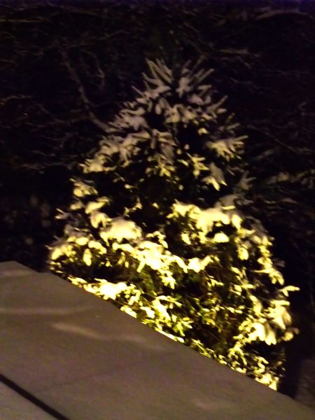 c0167813_21401816.jpg