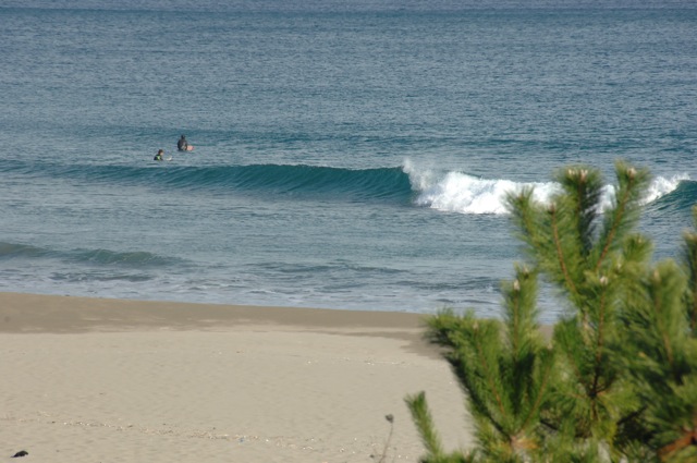 f0116314_18121766.jpg
