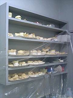 e0091220_2032128.jpg