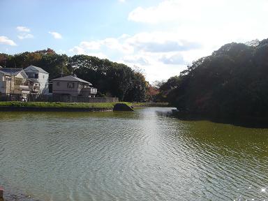 f0000521_57197.jpg