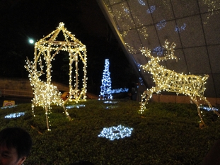 b0001326_15525584.jpg