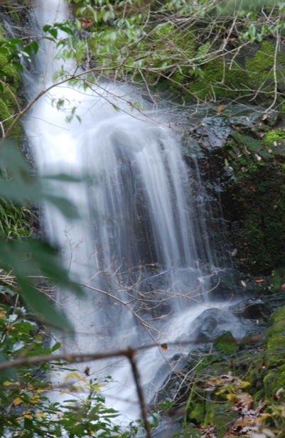 d0046930_8155968.jpg