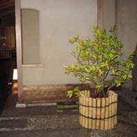 d0033734_26265.jpg