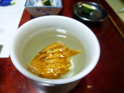 b0160142_0591615.jpg