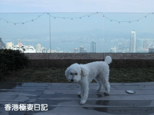 f0190653_12132879.gif