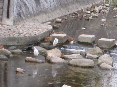e0113254_1010578.jpg