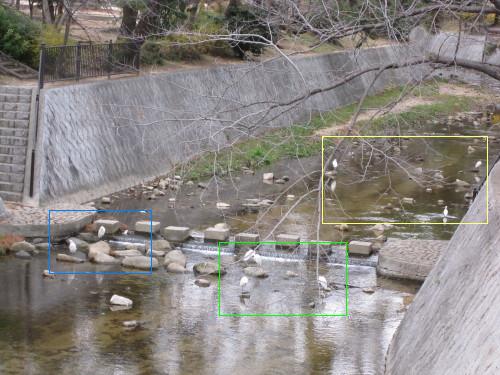 e0113254_107183.jpg