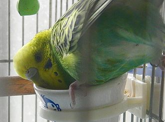 f0196665_0124826.jpg