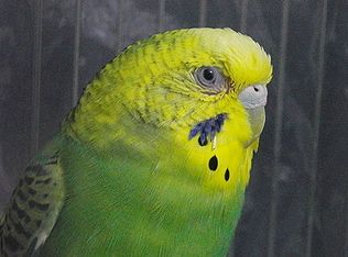 f0196665_0352124.jpg