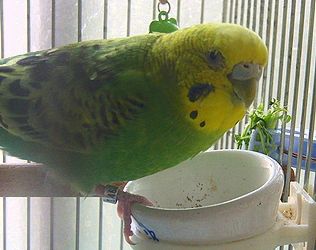 f0196665_082427.jpg