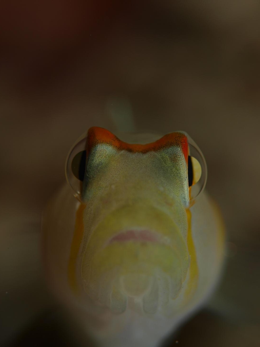 b0138768_70355.jpg