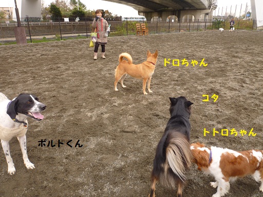 d0004968_2241177.jpg