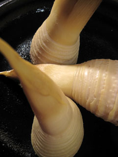 f0056476_1620418.jpg