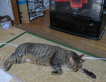 e0130185_0202141.jpg