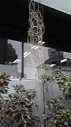 e0066389_17295820.jpg