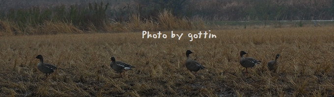c0213690_14594.jpg