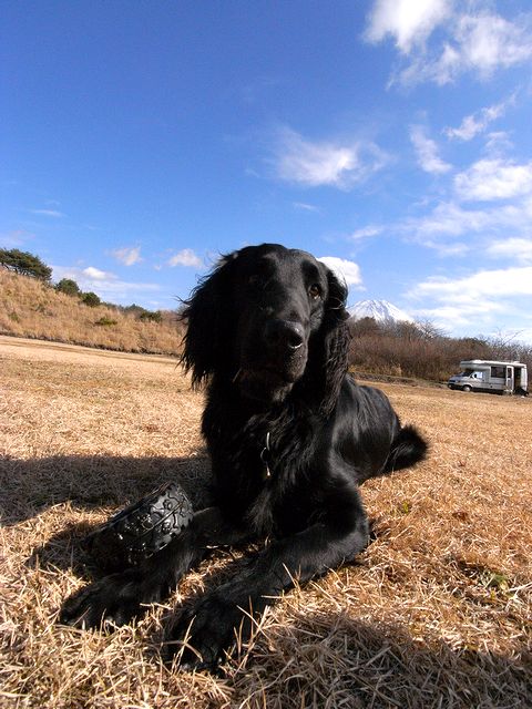 a0093592_4211567.jpg