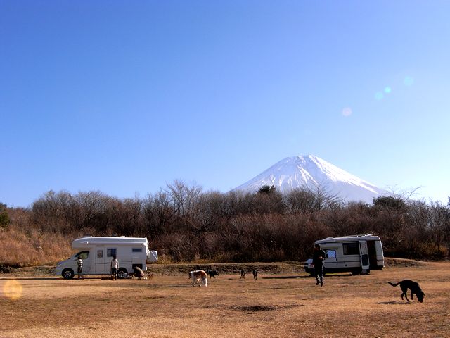 a0093592_4283481.jpg