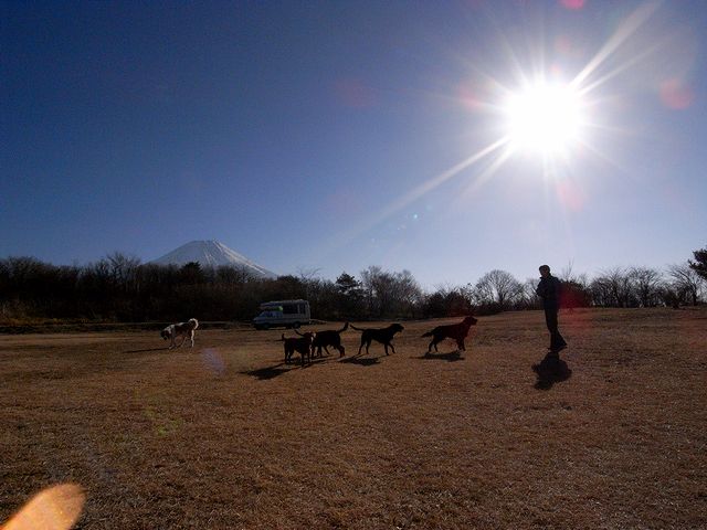 a0093592_4312943.jpg