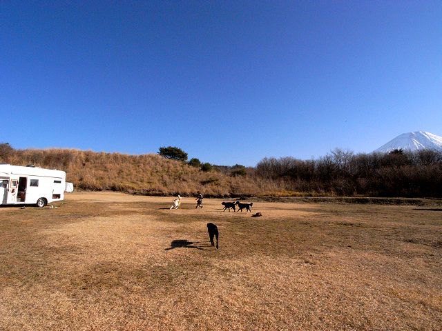 a0093592_4394214.jpg