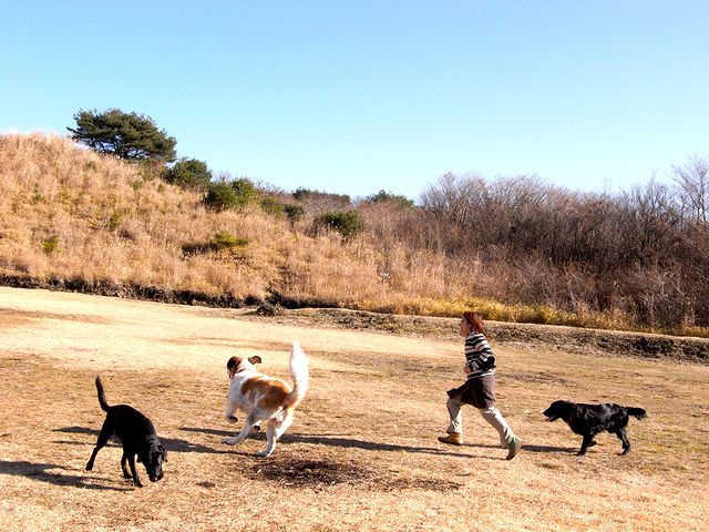 a0093592_4402029.jpg