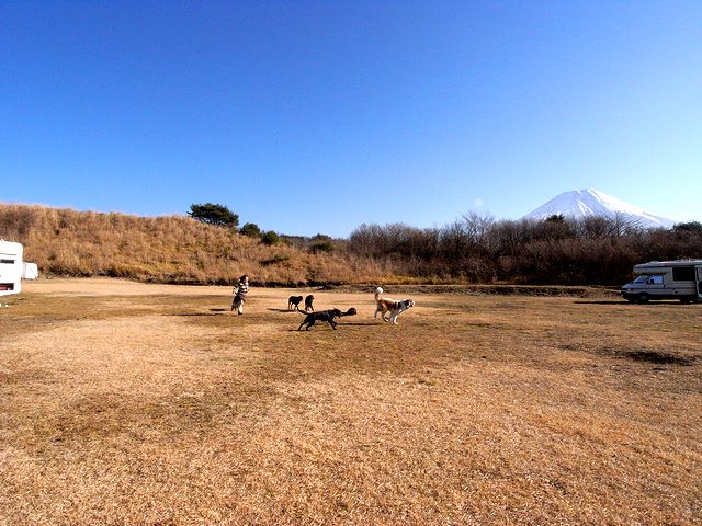 a0093592_440230.jpg