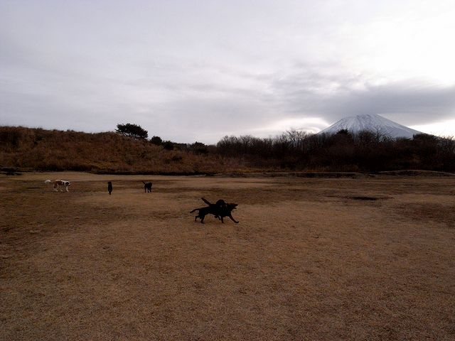 a0093592_545219.jpg