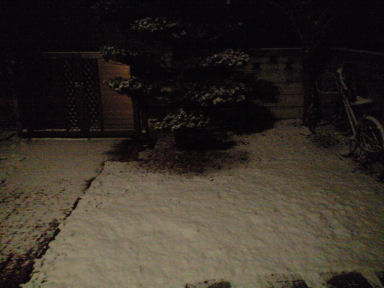 b0124693_21375095.jpg
