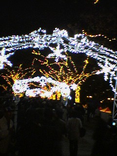b0205694_13525741.jpg