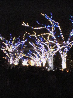 b0205694_13532917.jpg