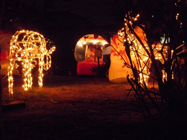 f0130894_2043429.jpg