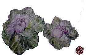 f0008597_1838236.jpg