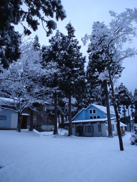 a0061599_7412941.jpg