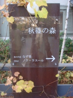 b0128101_1738109.jpg