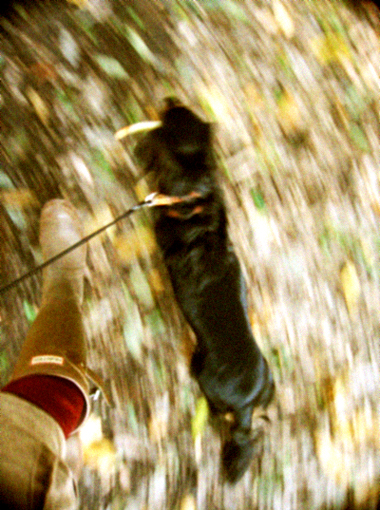 d0077603_1005217.jpg