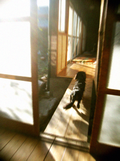 d0077603_9571959.jpg