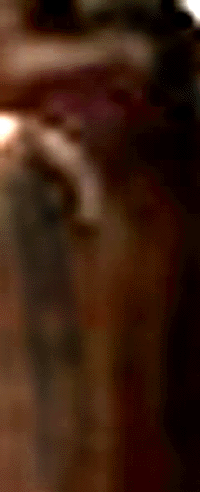 e0103408_6504766.gif