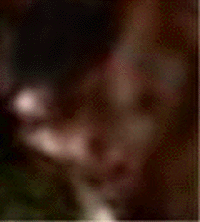 e0103408_7103859.gif