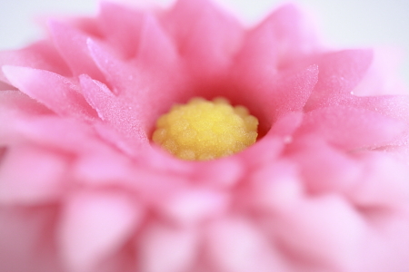 e0138008_1843729.jpg