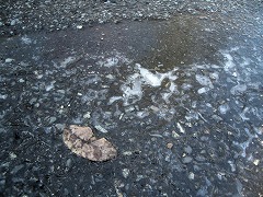 c0190010_20231921.jpg