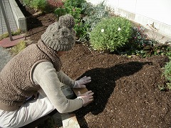 c0190010_20334083.jpg