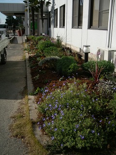 c0190010_2035067.jpg