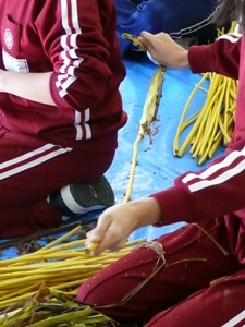 e0097615_1540676.jpg